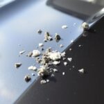 Jak usunąć ptasie odchody z lakieru – bezpieczna metoda krok po kroku i czego unikać